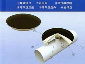 点击查看详细信息<br>标题：微孔曝气器 阅读次数：4498