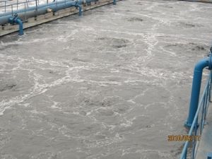 点击查看详细信息<br>标题：射流曝气 阅读次数：6168