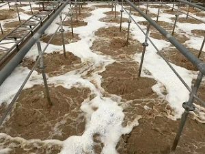 点击查看详细信息<br>标题：旋流式可提升曝气器 阅读次数：5604