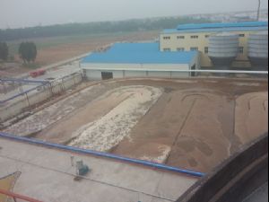 点击查看详细信息<br>标题：山东鸿联纸业有限公司  2万吨污水处理整体工程 阅读次数：3512