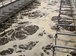 点击查看详细信息<br>标题：可提升微孔曝气管 阅读次数：5241