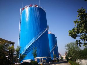 点击查看详细信息<br>标题：IC厌氧反应器 阅读次数：6104