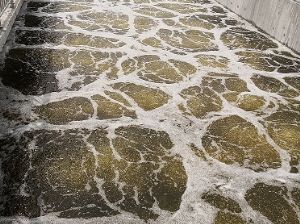 点击查看详细信息<br>标题：济宁金北新城污水厂 曝气器 填料 阅读次数：4097